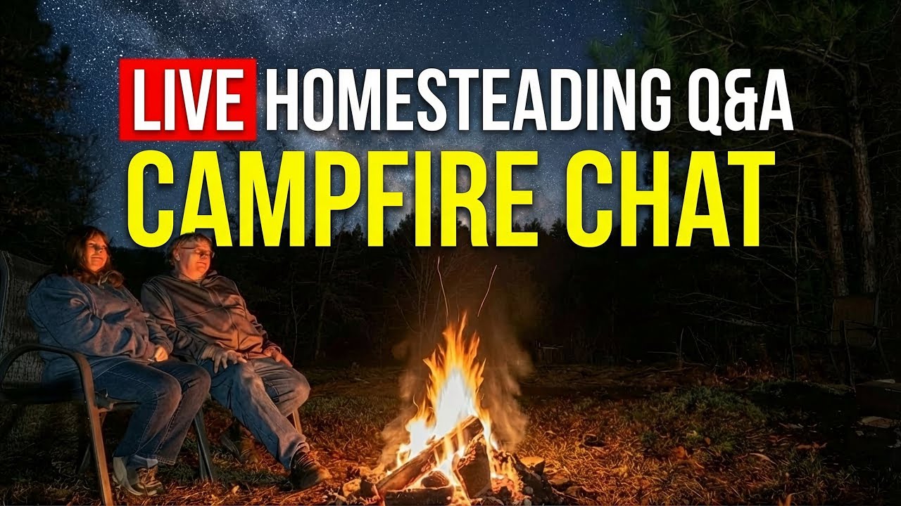 LIVE Chat - Chicken Laws Changing, Spring Planting & More