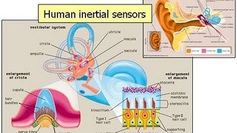 Rối loạn tiền đình- Nguyên nhân, triệu chứng là gì?