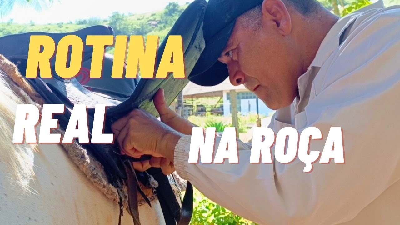 Um pouco da nossa paz e da lida de hoje. 🌿🤠 