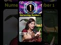 Numerology Number 1 Predictions For 2025 2026 Revealed Numerology1 Numerology