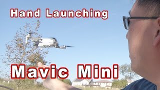 DJI Mavic Mini Hand Launching and Landing Tutorial 🎓 screenshot 2