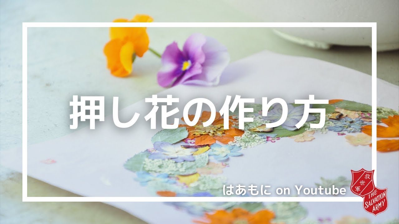 How to Make Pressed Flowers with Michiko Maruhata of 