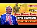 Haalli Nanno Mana Obbo Dawud Ibsaa Jiruu Yaddessadha Haalli Nanno Mana Obbo Dawud Ibsaa Jiruu Yaddessadha