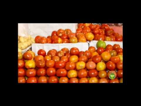 Tomate tem uma enorme alta no preço em Mato Grosso