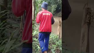 Mancing seru malah dapat CD bekas  #shorts