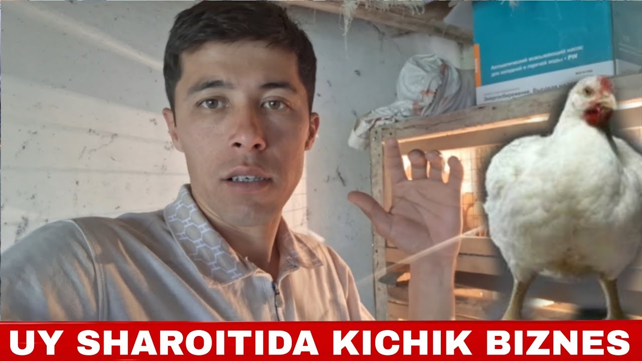 Biri sikni soradi, ikkinchisi kozoynakni yalaydi.