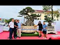 Hòa taxi chia sẻ tác phẩm quý số 1 Việt Nam độc long Kim cương với giá trị nhiều tỷ đồng