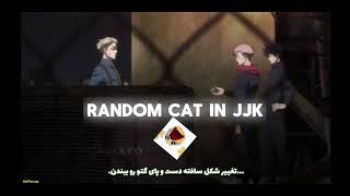 This Random Cat In Jjk Kasien