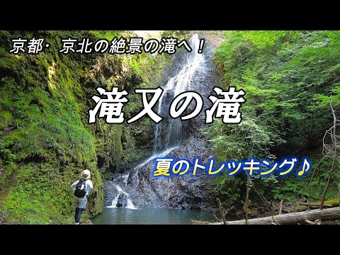 滝又の滝】 京都・京北の絶景の滝へ！涼しい川沿いを歩く夏の