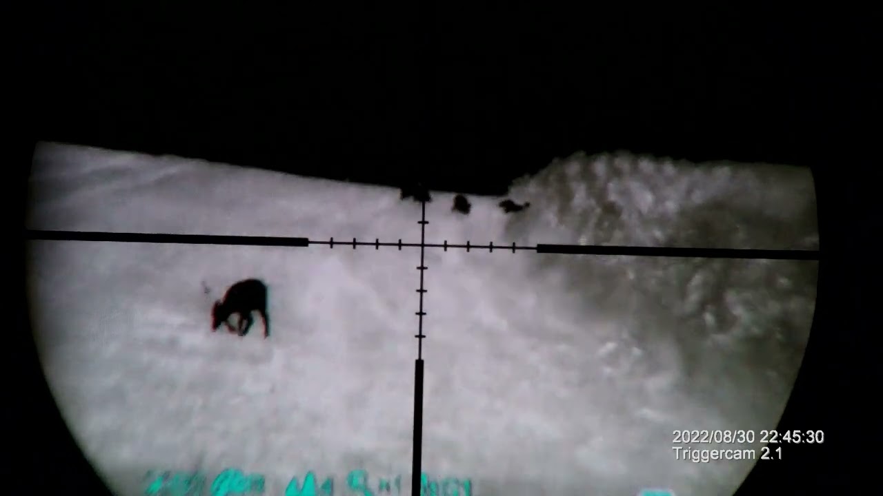 Infiray Thermal Clip, (NO) hunting, bez lovu
