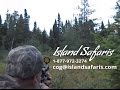 Newfoundland Moose Hunting - Island Safaris (Full Hunt)