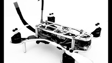 smallpartCNC Surface 120 Brushless FPV Racer DVR Gate & Tree Acro