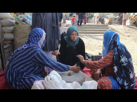 تصویری: چگونه می توان از شر اشکالات موجود در آرد ، غلات خلاص شد