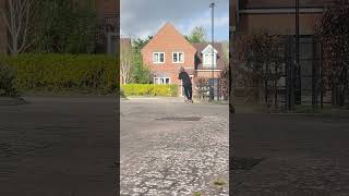 Safe to say Sylv approves of the new setup... Shame it’s Frank’s 🤣