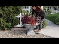 Deconstructing a Perennial Container & Planting Them in the Garden! 😊🌿// Garden Answer