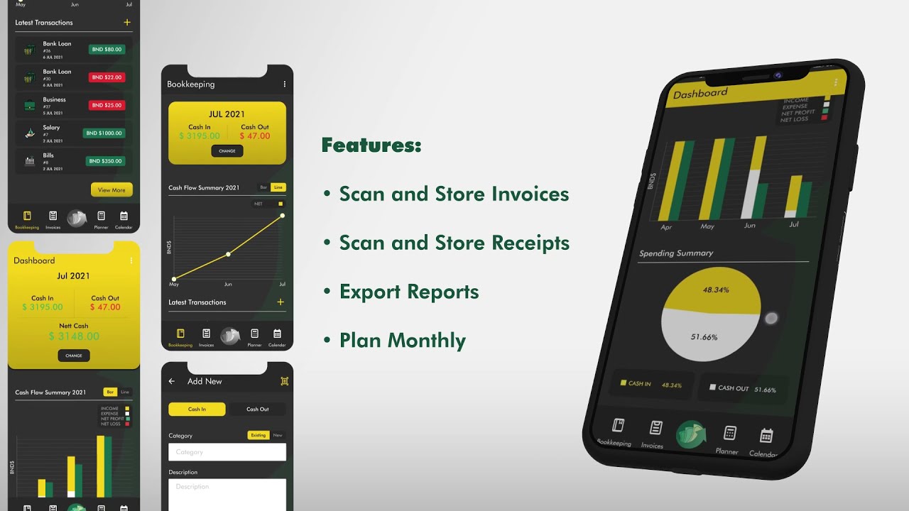 iCASHFLOW.BN Tutorial