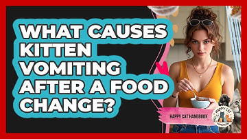 What Causes Kitten Vomiting After A Food Change? - Happy Cat Handbook