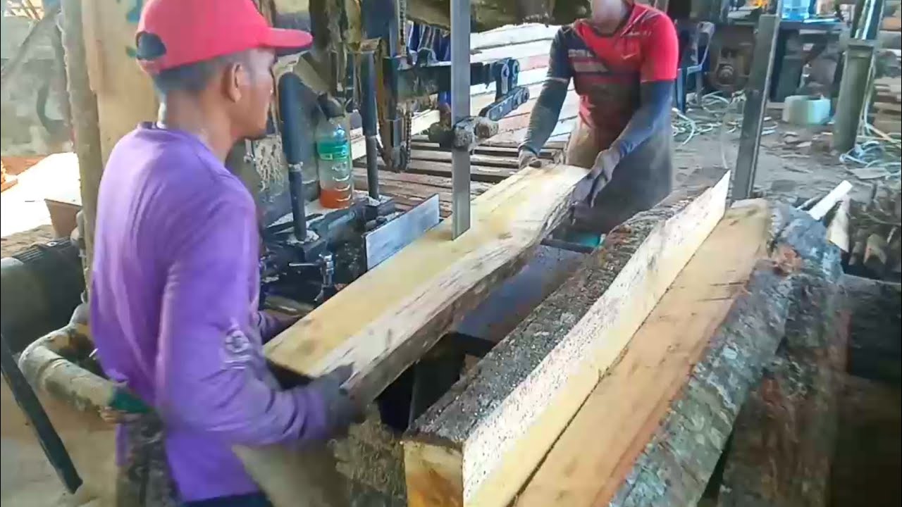 kayu-terap-kuning-youtube