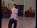 Yueh Fei Kung Fu - Cutting
