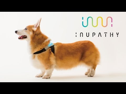 INUPATHY : Dogs&#039; mental visualizer