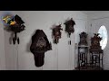 Cuckoo Clock S Collection