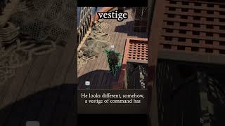 vestige — Divinity: Original Sin 2 dialogue scene