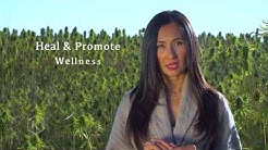 Kannaway CBD Hemp Oil – The Process