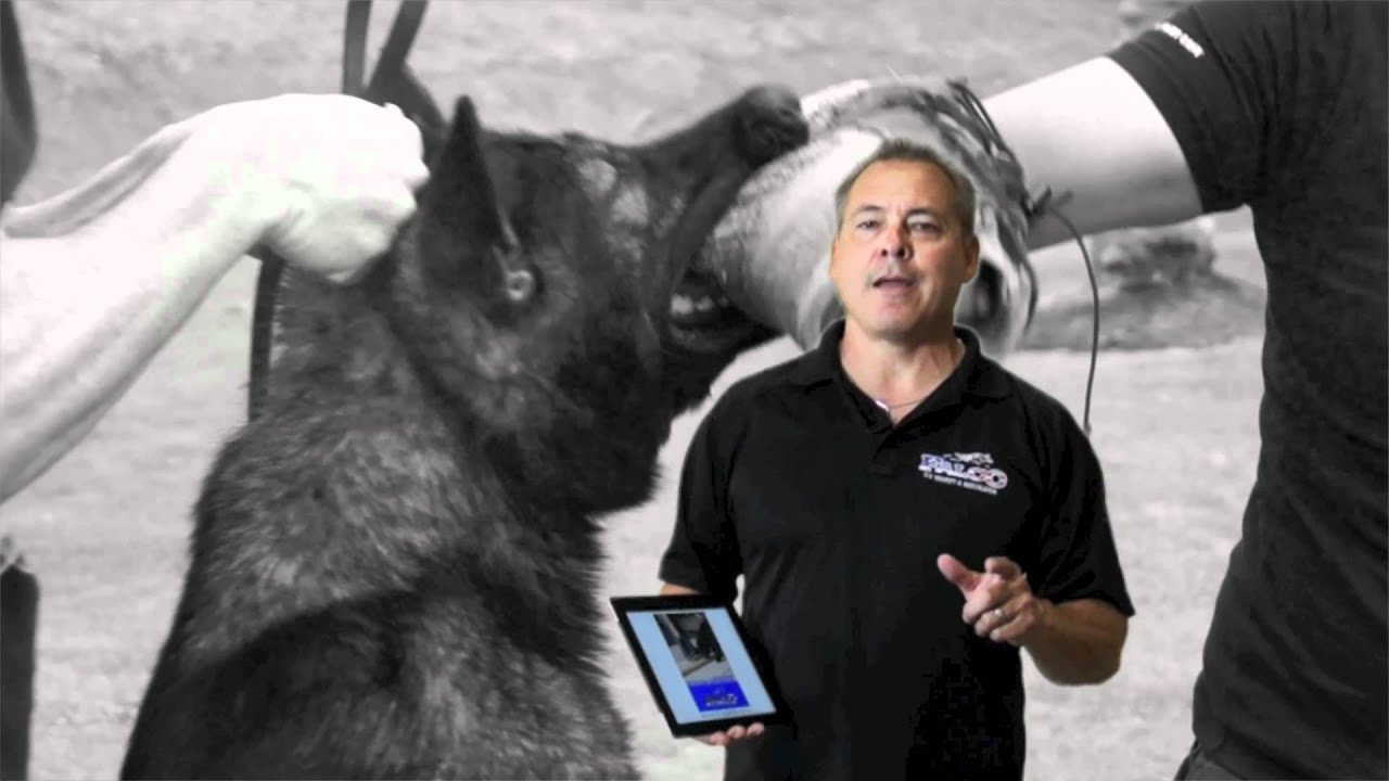 Falco K9 Academy on iBooks