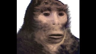 West Virginia: 20 minute viewing of a Sasquatch interviewed by Jeff Andersen Part 2