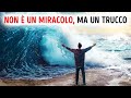 Una Piccola Goccia di Olio puÃ² Calmare l'Oceano