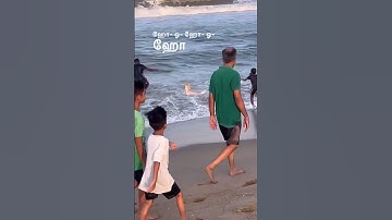 Standalone Happiness 😊❤️ #yuvan #dhanush #orunaalil #selvaraghavan #vjs #beachdiaries #labrador