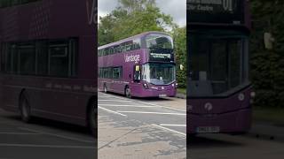 Bus! 🚌 What Do You See Song #dreamenglishkids #childrensmusic #learning #vehicles #shorts #bus