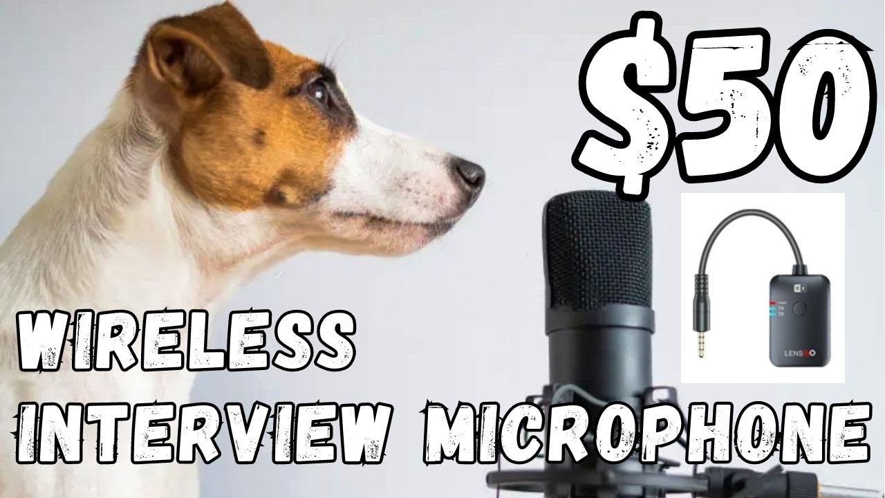 Best wireless microphone for interviews - $50 LENSGO 318D 