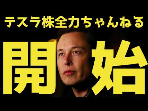 3000万円をテスラに投資した結果:テスラ株全力投資ちゃんねる始めます #1