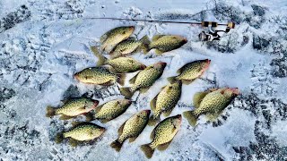 Ice Fishing for a Panfish DINNER! - They were STACKED!