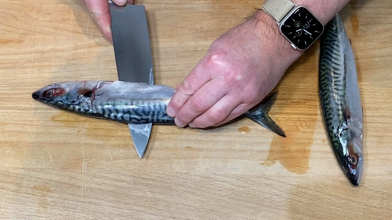 Jak filetować rybe. Filetowanie makreli.