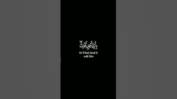 كرومات تلاوات قرآن كريم شاشة سوداء 🌹وما تدري نفس ماذا تكسب غدا #سورة_لقمان #إسلام_صبحي