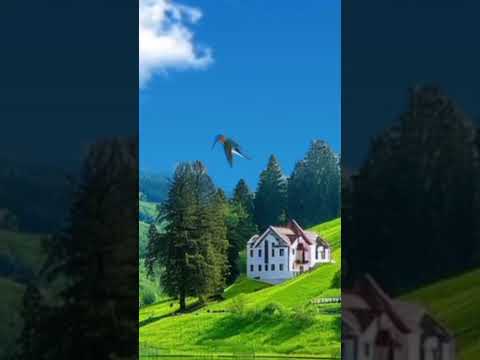 قصة الرجال القتلى الثلاث ودوابهم التي دلت على الاخوين وكان العناق شديدا عند حبل المشنقة قصص واقعية