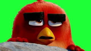 Футаж Angry Birds
