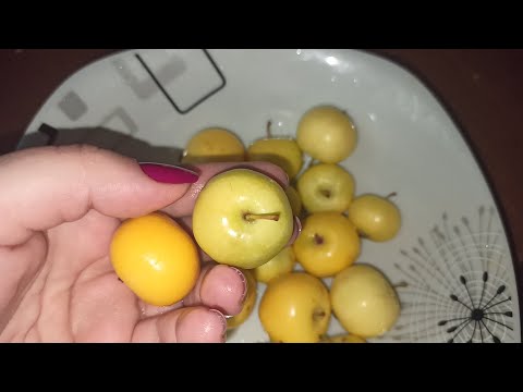 Video: Jabuka Od Orašastih Plodova Za čaj Za 15 Minuta