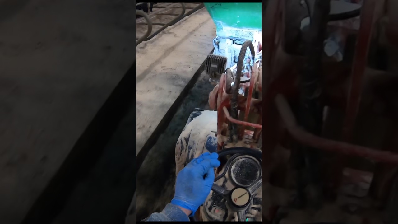 Sawdust Magic: Crafting Comfort for Cows