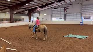 Total Equine Services Latigo 2