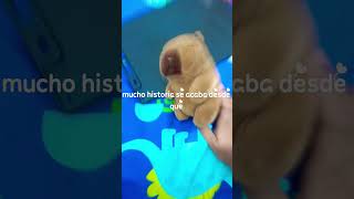 Las noticias de Fifi Blanco Gallina Blinko Pou Envidia Pou Triste y Capibara JR. Parte 18