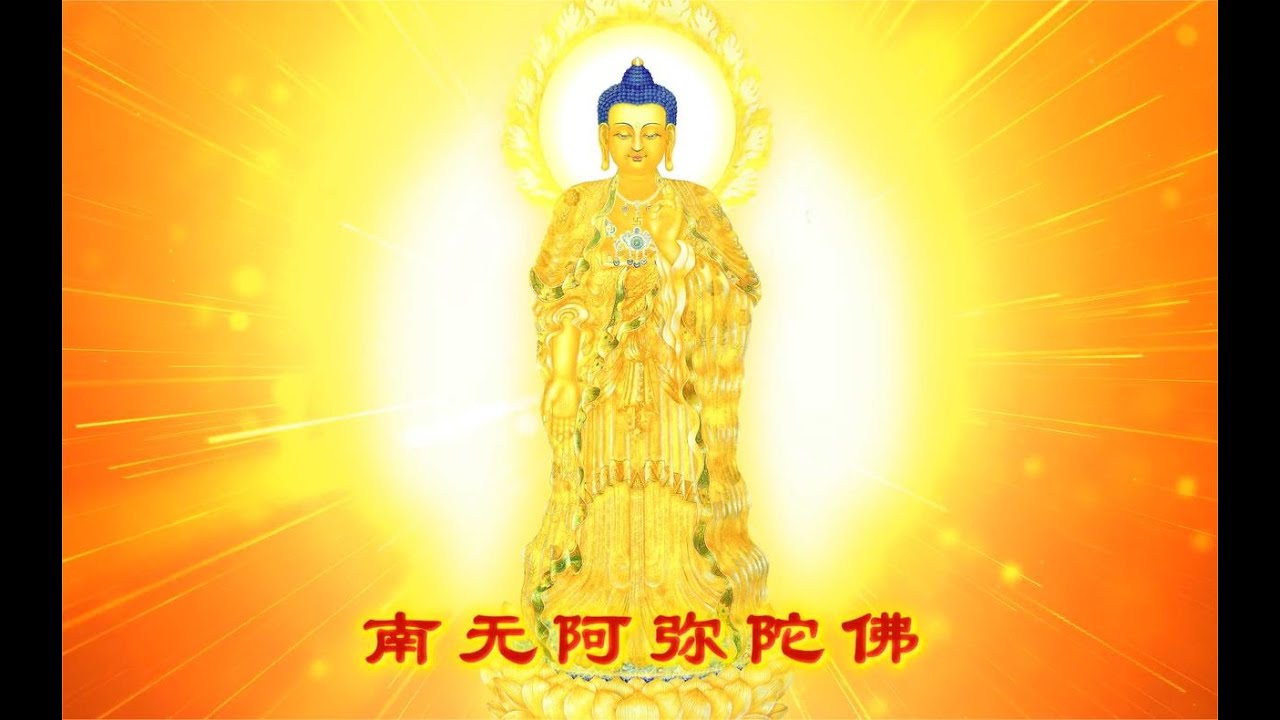清明节念佛超度 | 南无阿弥陀佛佛号 | 刘尊&郭津彤 20230821 #佛号 #念佛 - YouTube