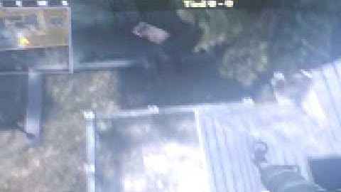 (COD 5) ASYLUM SKY WALK!! TO LEFT OF MAP!! AND OUT O MAP!!