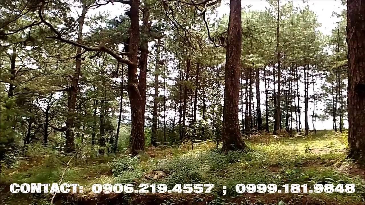 Baguio City Lot For Sale YouTube