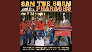 Miniatura de vídeo de "Sam The Sham And The Pharaohs - Big City Lights"