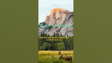 اجمل تلاوه خاشعه للشيخ خالد الجليل سوره القارعه