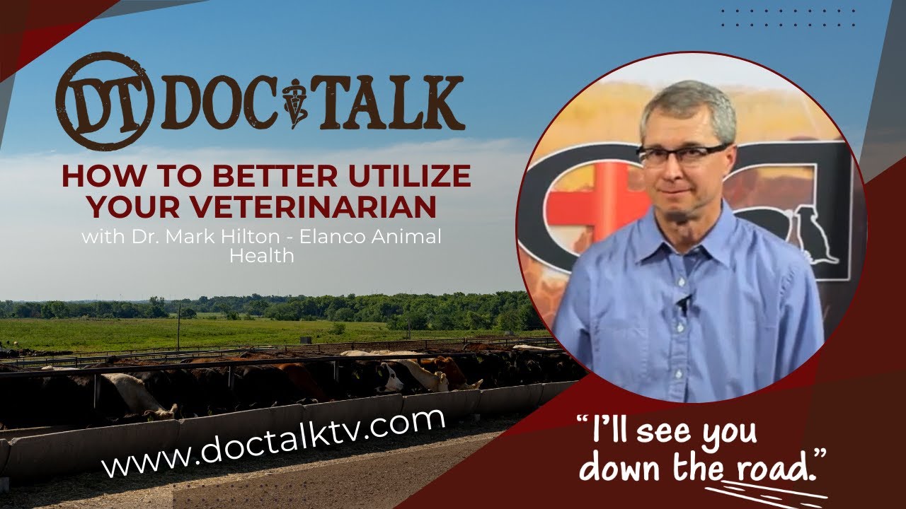 DocTalk Ep 263 - How to Better Utilize Your Veterinarian with Dr. Mark ...
