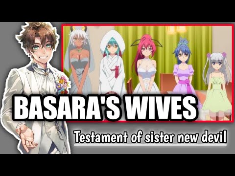 Testament of sister new devil - Basara's Wives and Marriage/Relationship Info